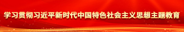 A级毛一片套逼免费看学习贯彻习近平新时代中国特色社会主义思想主题教育